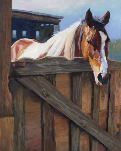 Waiting At The Gate - Friendly And Patient Horse. Felton, CA Original Oil Painting By Shirley Lehner-Rhoades 24