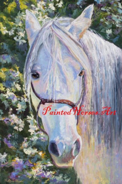 Cheyenne - Missouri Foxtrotter Mare Original Oil Painting By Shirley Lehner-Rhoades 24