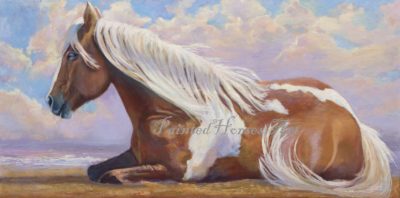 Cleopatra Rescued Working Horse Retired To Hawaii