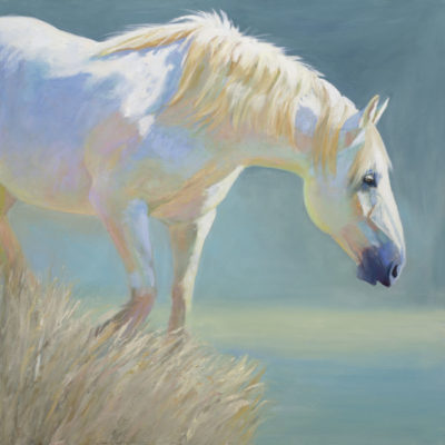 Valentina Rescued Canadian Mare Original Oil Painting By Shirley Lehner-Rhoades 36
