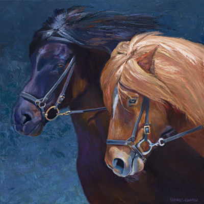 Racing Icelandic Horses