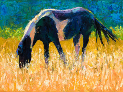 Original Oil Painting By Shirley Lehner-Rhoades 24″x30″