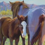 Wild Horses of the Arizona Desert Wild Horses of the Arizona Desert